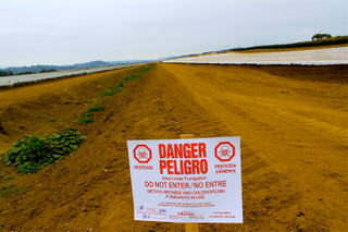 Recently fumigated field in Watsonville, Calif., Oct. 11, 2009. Photo: Benketaro Creative Commons